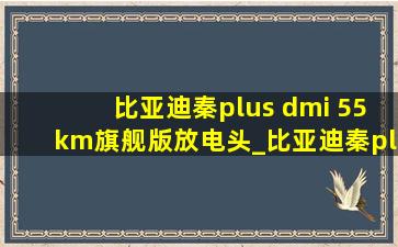 比亚迪秦plus dmi 55km旗舰版放电头_比亚迪秦plus dmi 55km旗舰版